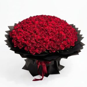 Velvet Grandeur – Massive Premium Red Rose Display