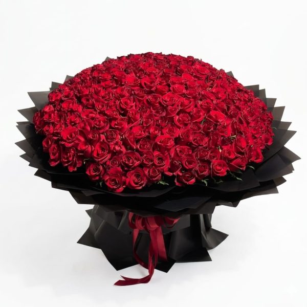 Velvet Grandeur – Massive Premium Red Rose Display